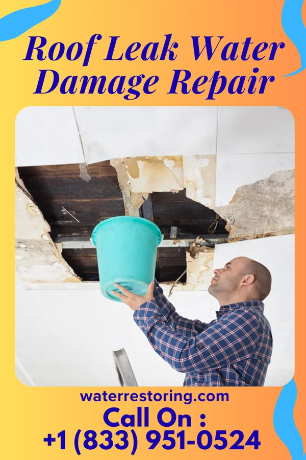 Roof Leak Water Damage Repair in Lexington, OK