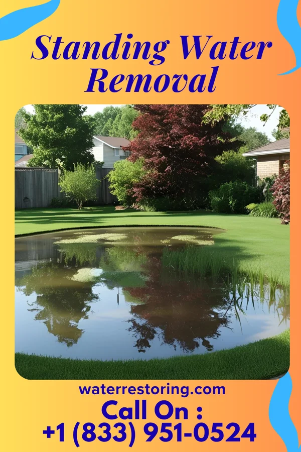 Standing Water Removal in Lexington, OK